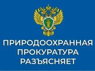 Нижегородская межрайонная природоохранная прокуратура разъясняет